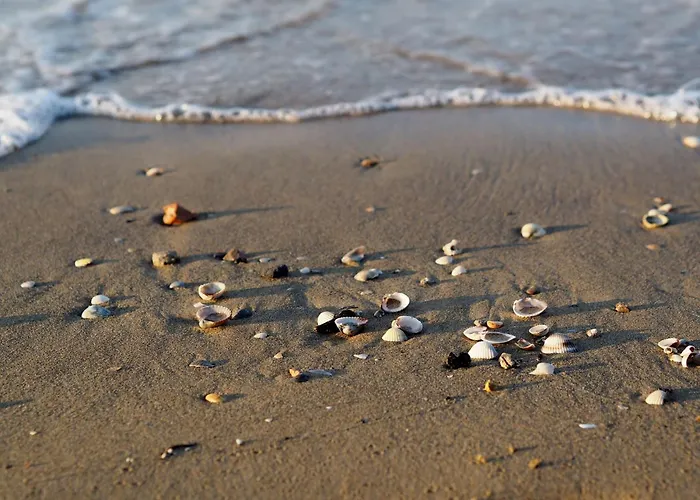 Salt Air And Soft Light Flat In Sunny Apartament Bibione