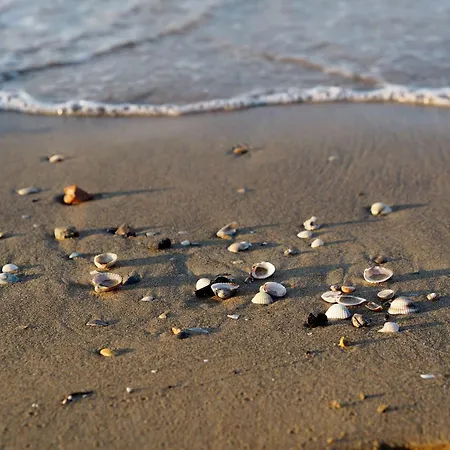 Salt Air And Soft Light Flat In Sunny 아파트 비비오네