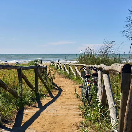 아파트 Salt Air And Soft Light Flat In Sunny