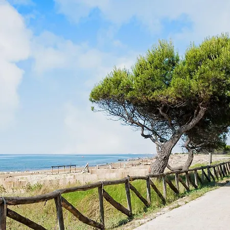 Salt Air And Soft Light Flat In Sunny 비비오네